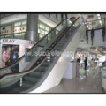 Escalera mecánica de servicio pesado del centro comercial